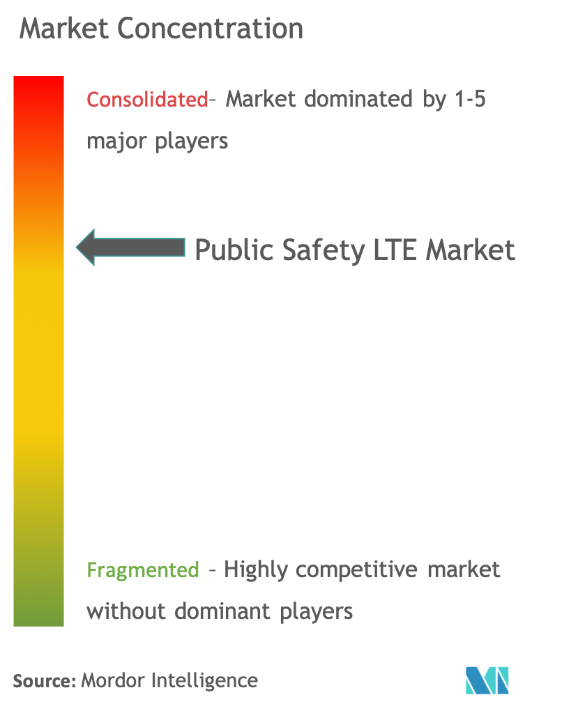 公安LTE市場集中度
